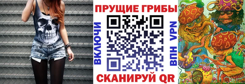 маркетплейс формула  Ефремов  Псилоцибиновые грибы Psilocybine cubensis 