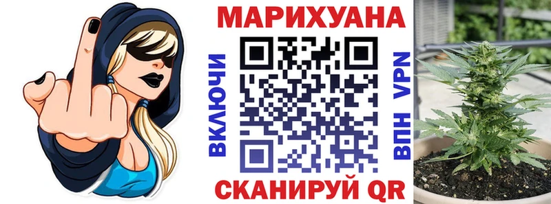 МАРИХУАНА сатива  Ефремов 